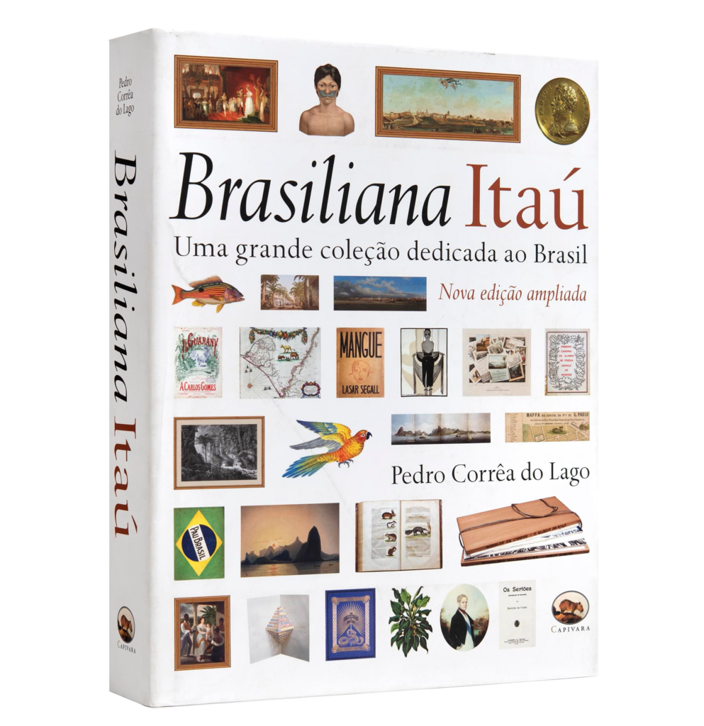 O MISTÉRIO DA CAPIVARA (Portuguese Edition) eBook : JUJU, ABC
